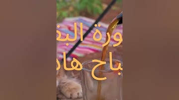 سورة البقرة كاملة صباح عذب بتلاوة عذبة | تلاوة تهتز لها الأرواح أحمد العجمي 💓❤️‍🩹