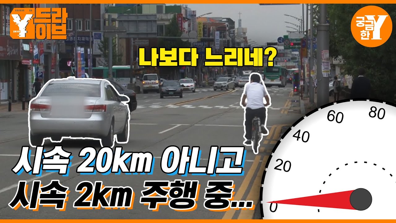 차가 막힐 때 맨 앞차는 뭘 하고 있을까? 🚗🚜🚌🚕🛻🚙🚐🚚🚛 | Y드라이브