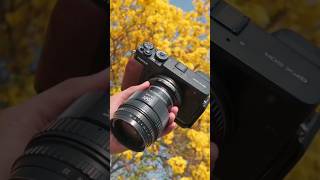 Fujifilm GFX 50R & AstrHori 50mm f/1.4 Tilt Lens photography 8k