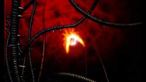 revival of the phoenix