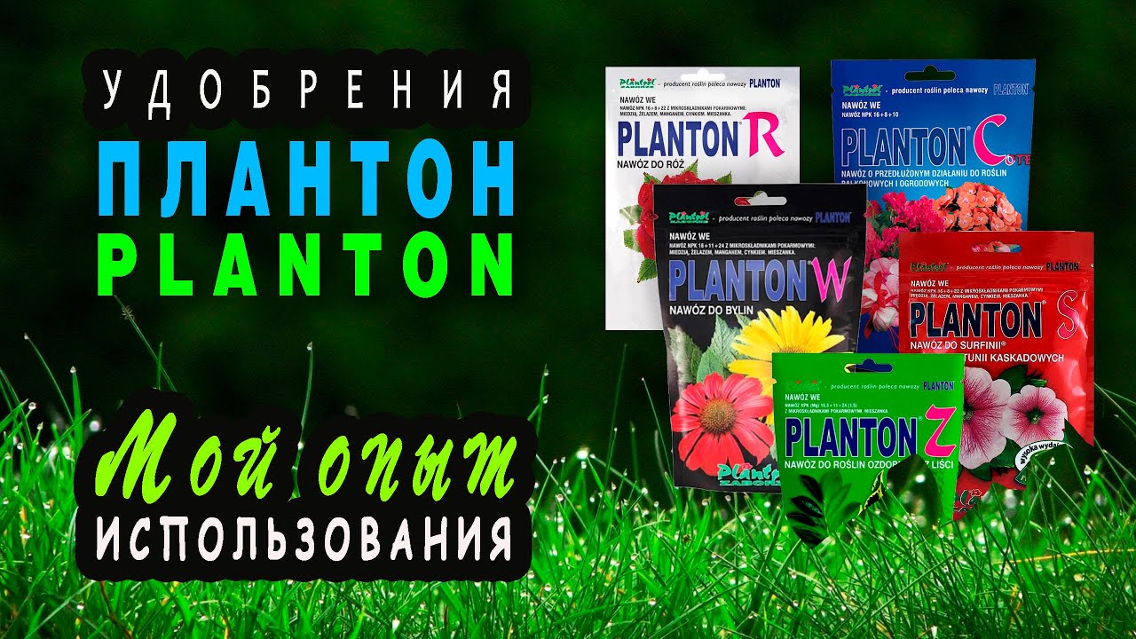 Плантон. Плантон удобрение. Удобрение planton (Плантон) для овощей. Удобрения Плантон логотип. Удобрение Greenworld долгодействующее.