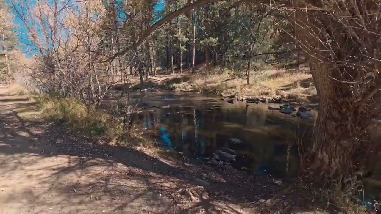 O'Fallon Park, Kittredge, Colorado, USA 