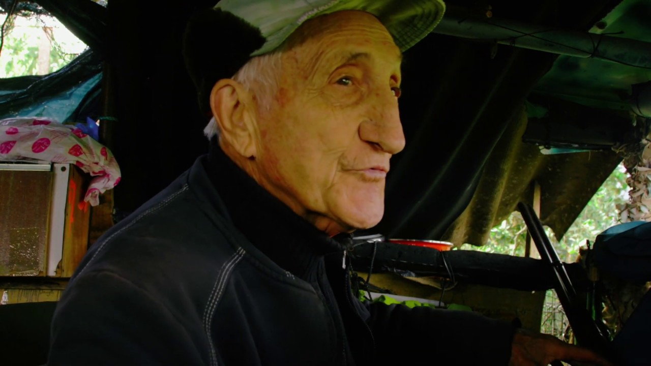 Chasse à la palombe dans le sud-ouest