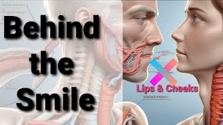 Behind the Smile: Decoding the Secrets of Mouth Anatomy