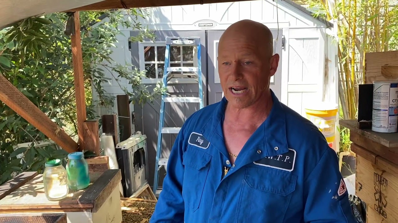 Queen cell starter - HD 1080p