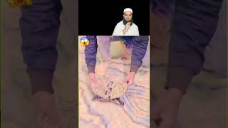 MashaAllah Pathar Ki Rihaal #shorts ##shortsfeed #islamicreaction #reactionvideo #allah #mohammad