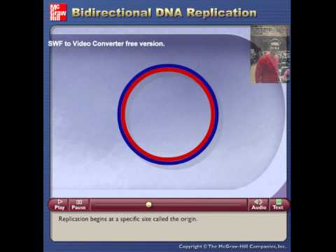 Video: Har prokaryote celler plasmid-DNA?