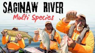 Fishing The Saginaw River In May  - Walleye, Catfish, And More!