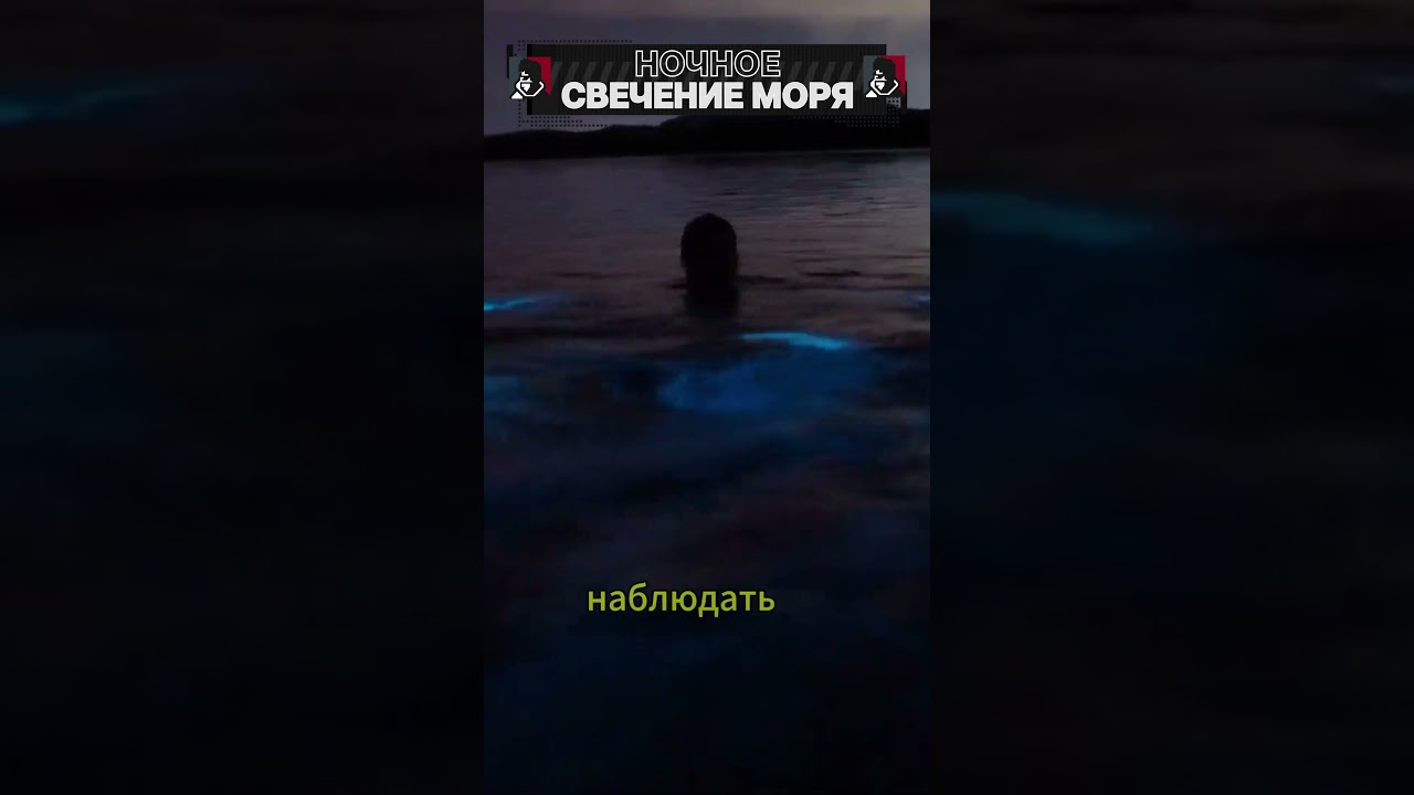 Ночное свечение моря! 
