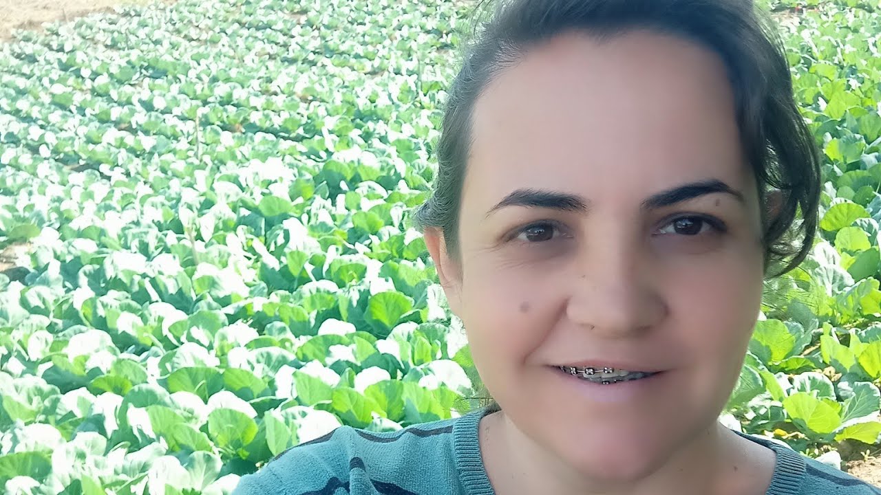 qual o agrotóxicos que resolve o problema da lagarta do repolho