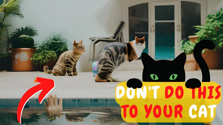 DO THIS AGAIN WHEN YOU LEAVE YOUR CAT ALONE