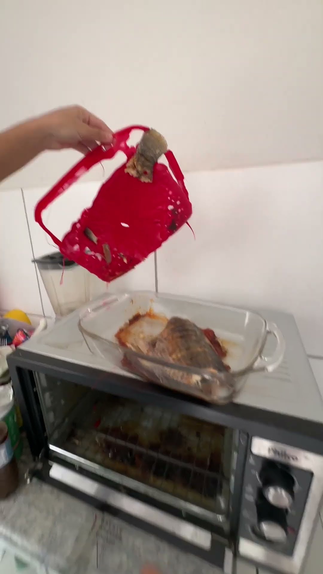 Fish Baking Fail Leaves Lid Melted || ViralHog