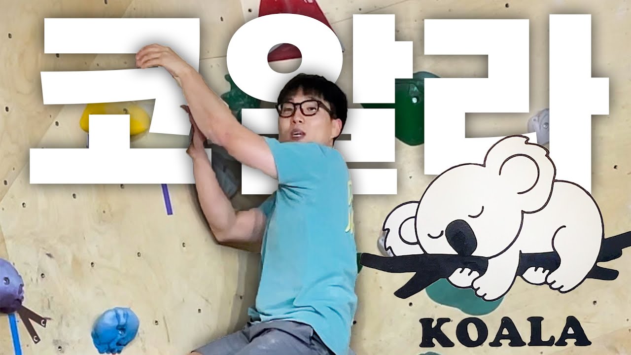 코알라 클라이밍 (feat. 서울 모든 클라이밍 암장 투어 1편)