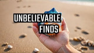 The Rarest Seashells Collection in the World! Rarest Seashells