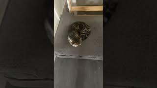 Monday 31St October 2007