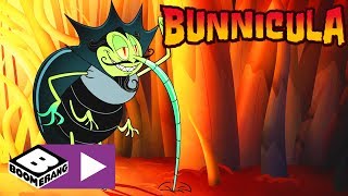 Królikula Głodny Jak Wilk Cartoonito