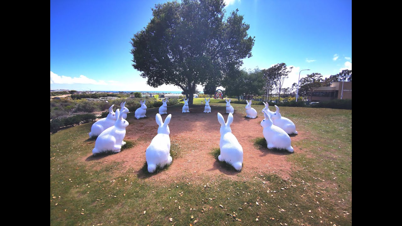 Bunnyhenge