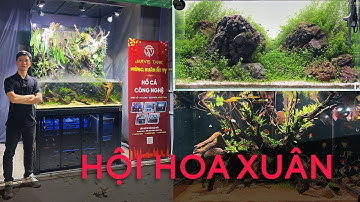 Trưng bày Hồ Thủy Sinh - Hồ Cá Công Nghệ - Hội Hoa Xuân Tao Đàn 2025 - Thủy Sinh Cây Là Nhà