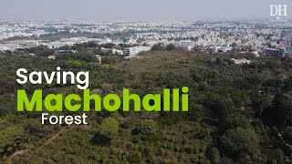 Bengalurus Machohalli Forest At Risk Of Being Wiped Out One Government Order Can Save It