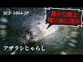 SCP-1004-JP アザラシじゃらし【ゆっくり解説】