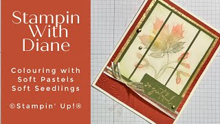 Soft Pastels and Soft Seedlings by ©Stampin' Up! ® screenshot 4