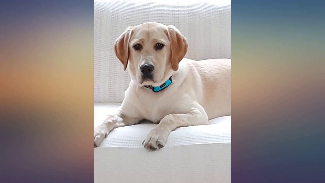 Ottoman Slipcovers Rectangle Footrest Footstool Protector Covers Stretch Fabric review