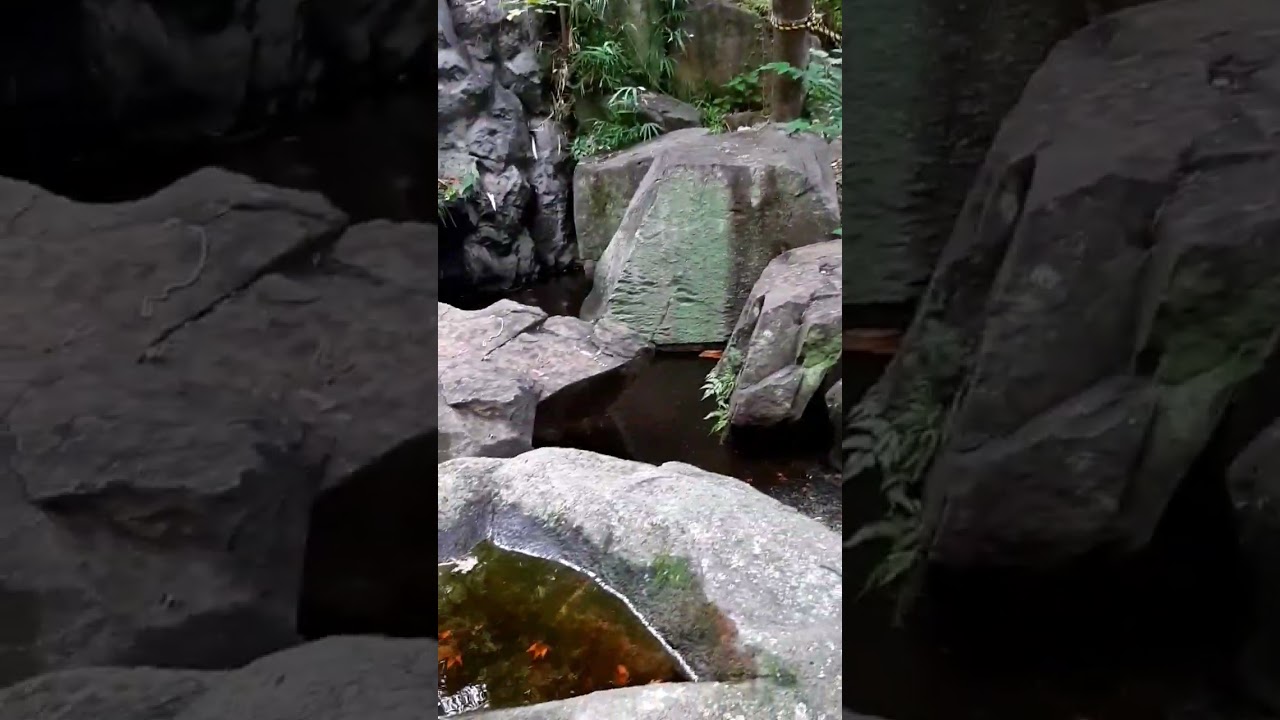 full moon singing bowl. 