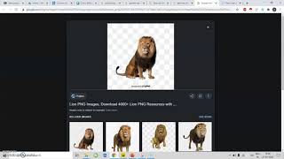 image classification assignment 4