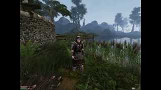 Morrowind Graphic Overhaul 3.0 Max Settings Morrowind Graphic Overhaul 3.0 Max Settings