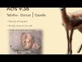 Beginning of video