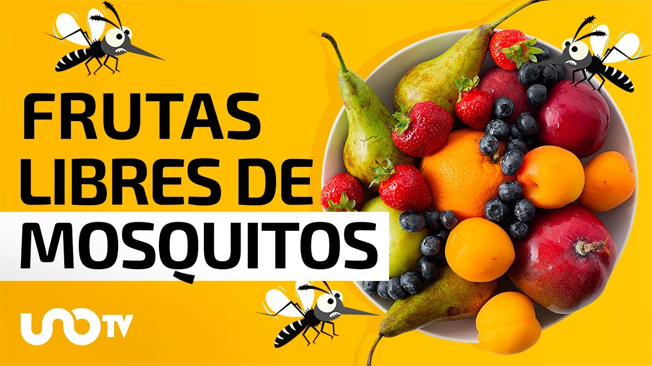 View of ¿Cómo hacer un spray casero para cuidar a las frutas de los mosquitos ...