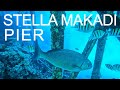 Underwater video at the STELLA MAKADI HOTEL pier | Hurghada, Red Sea, Egypt | December 2023