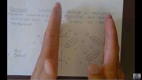 CHM 240 Chapter 13 video part 4