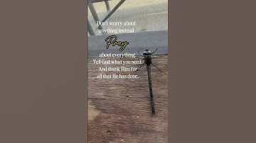 #everydayvlogs