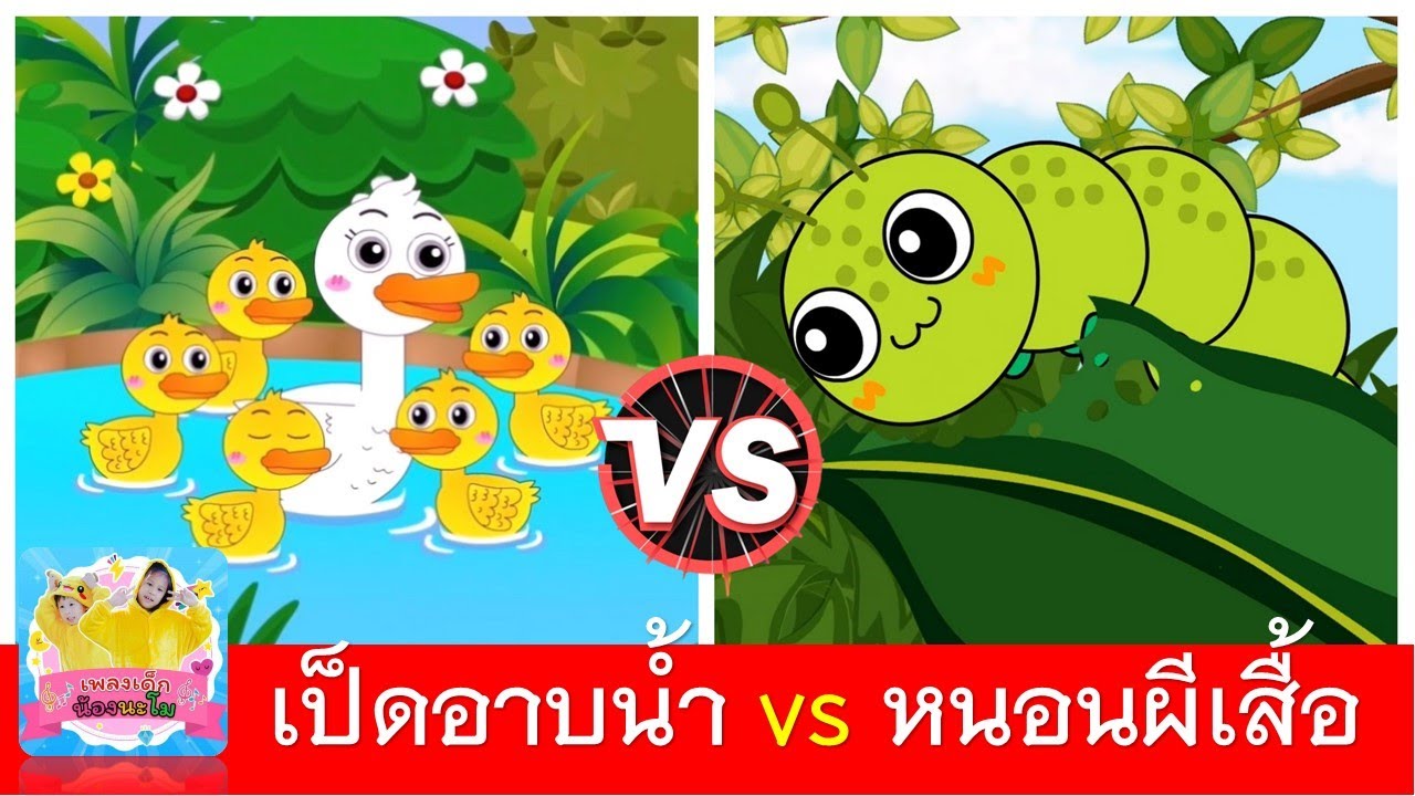 เป็ดอาบน้ำ vs หนอนผีเสื้อ