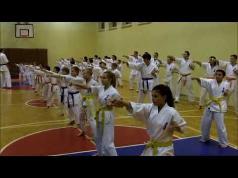 Egzamin Karate Kyokushin