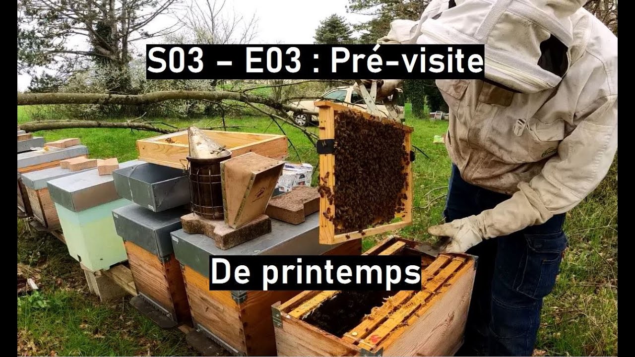 S03 - E03 : Pré-visite de printemps, enfin on ouvre les ruches!