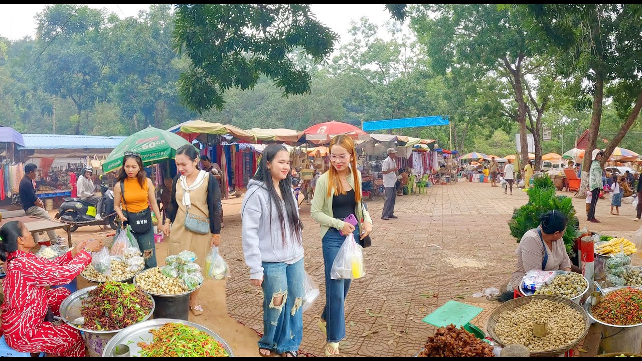 Cambodia Countryside Street Food Tour in Kandal Province, Traditional Market, Phnom Penh City