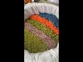 The key to selling rice balls lies in the colored rice