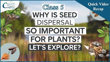 Learn Dispersal of Seeds & Pollination | Class 5 Science Olympiad Preparation Guide