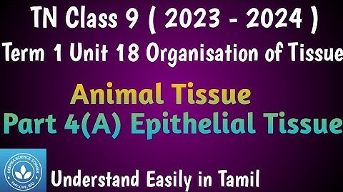Animal Tissue Part (A) - Epithelial Tissue| Class 9 Science Term 1 Unit 18 Organisation of Tissue