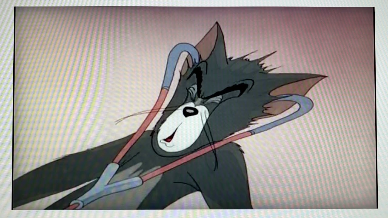 Tom scream. Tom and Jerry Scream.