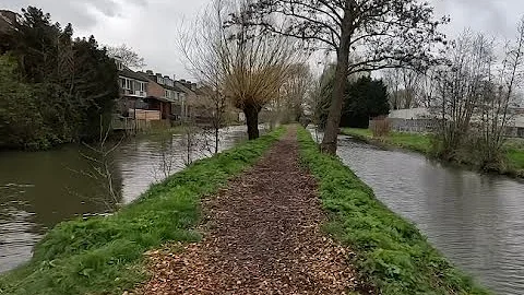 Wandelen bij Papendrecht #wandelen #nederland #zuidholland