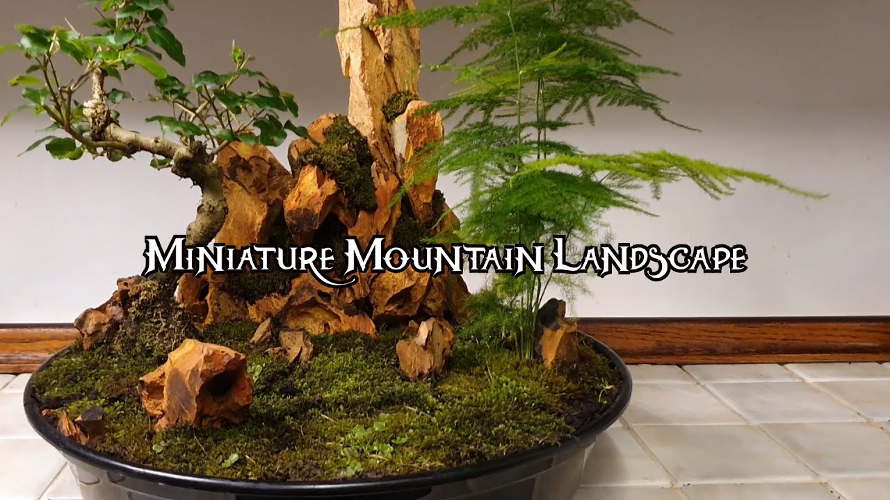 How to build a Miniature Mountain Landscape (with Bonsai)