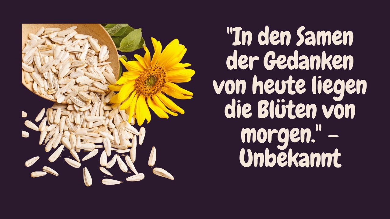 💫 35 Zitate zur Zukunft Inspirierende Weisheiten ☀️ 2 YouTube player