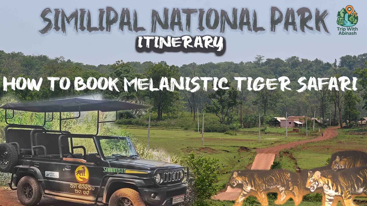 Similipal Iterinary | HOW TO BOOK SAFARI IN SIMILIPAL