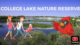 College Lake Nature Reserve - Tring Walks & Wildlife (6 Minutes)