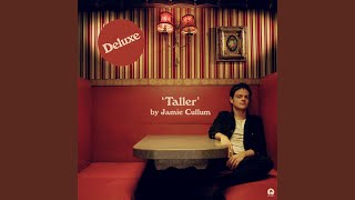 Miniatura de vídeo de "Jamie Cullum - Good Luck With Your Demons (Demo)"