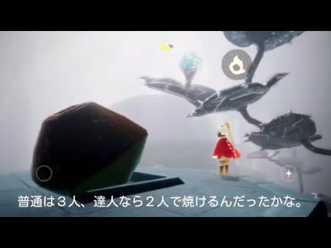 初心者さまと私向け《雨林の神殿の大木》楽に回収する方法【Sky 星を紡ぐ子どもたち】