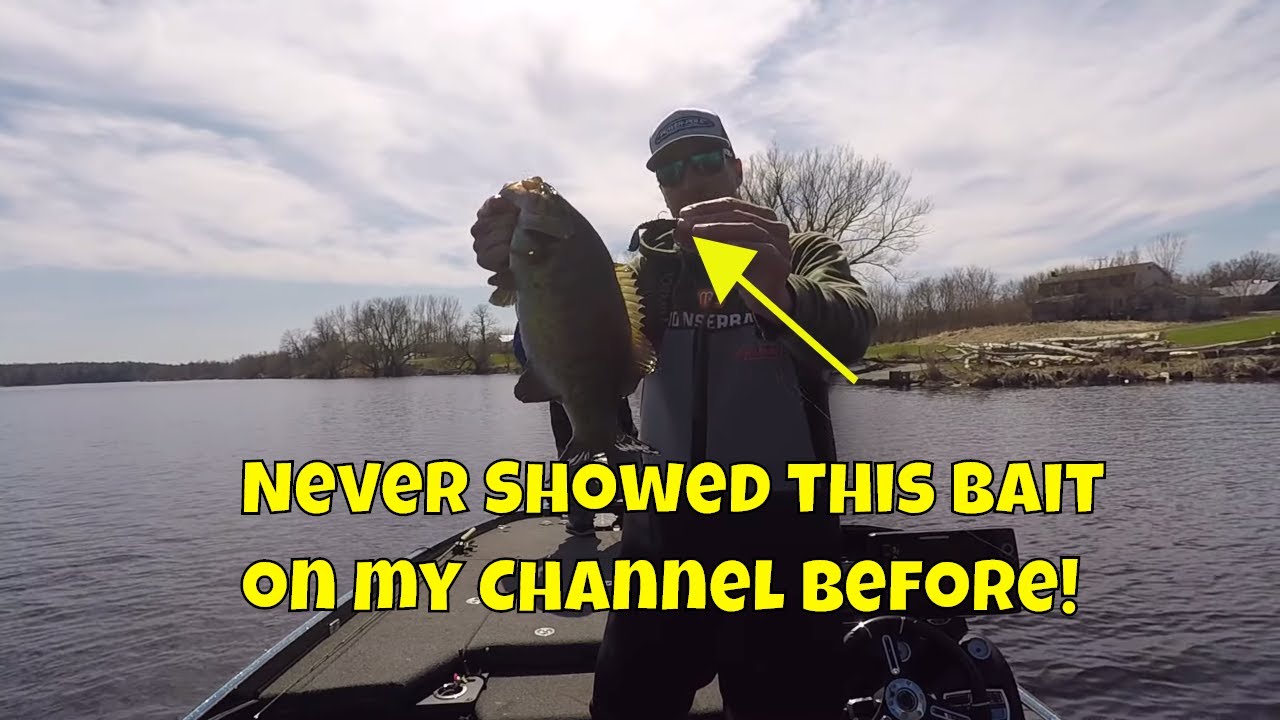This Bait Catches some BIG Smallmouth Bass! 